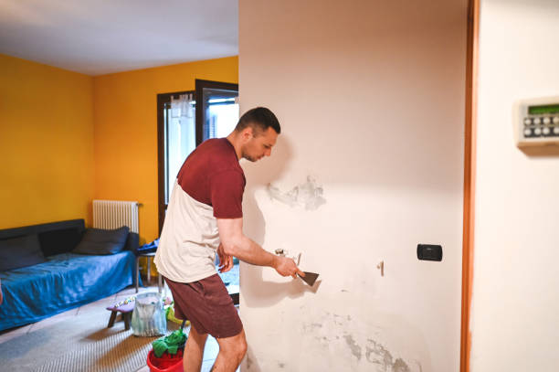 Best Insurance-Related Mold Remediation in Fort Pierce South, FL